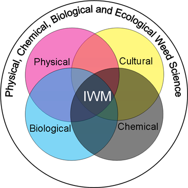 Physical Weeding - Information - Integrated Weed Management - False And ...