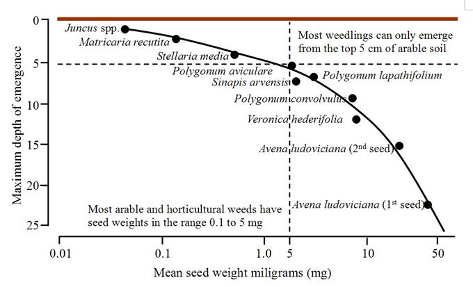 physical-weeding-information-integrated-weed-management-false-and